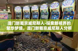 澳门新葡京威尼斯人-探索新视界的繁华梦境，澳门新葡京威尼斯人分析篇-澳门新葡京威尼斯人
