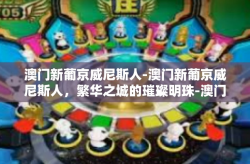 澳门新葡京威尼斯人-澳门新葡京威尼斯人，繁华之城的璀璨明珠-澳门新葡京威尼斯人
