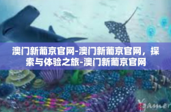 澳门新葡京官网-澳门新葡京官网，探索与体验之旅-澳门新葡京官网