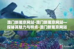 澳门新葡京网站-澳门新葡京网站—探秘其魅力与特点-澳门新葡京网站