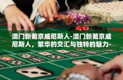 澳门新葡京威尼斯人-澳门新葡京威尼斯人，繁华的交汇与独特的魅力-澳门新葡京威尼斯人