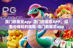 澳门新葡京app-澳门新葡京APP，探索与体验的旅程-澳门新葡京app