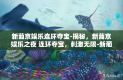 新葡京娱乐连环夺宝-揭秘，新葡京娱乐之夜 连环夺宝，刺激无限-新葡京娱乐连环夺宝