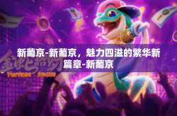 新葡京-新葡京，魅力四溢的繁华新篇章-新葡京