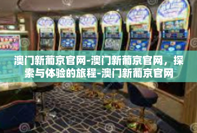 澳门新葡京官网-澳门新葡京官网，探索与体验的旅程-澳门新葡京官网